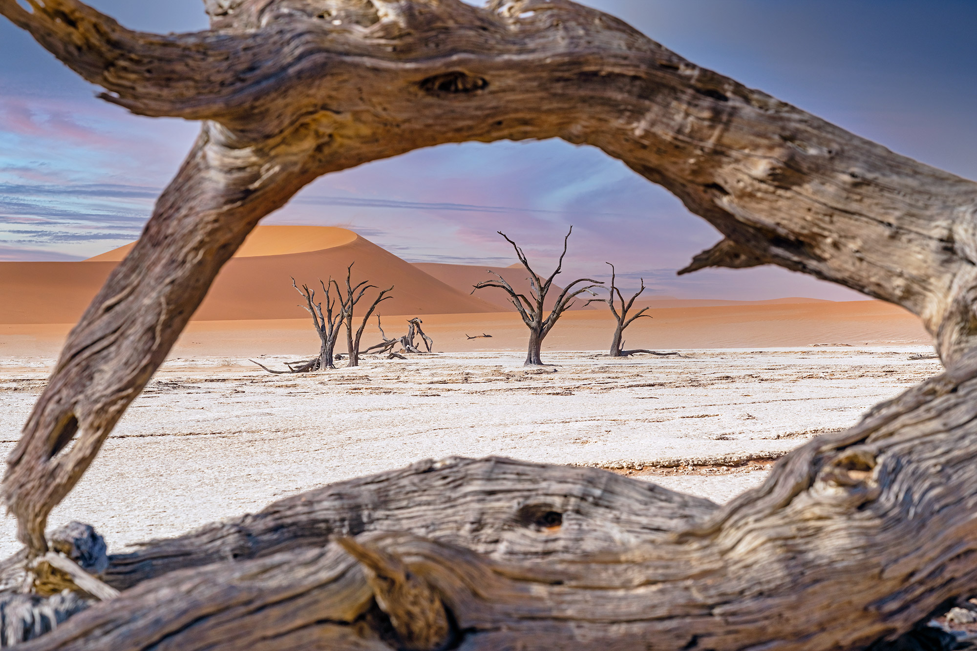 Deadvlei fotografiert auf einer Namibia-Fotoreise von Benny Rebel.