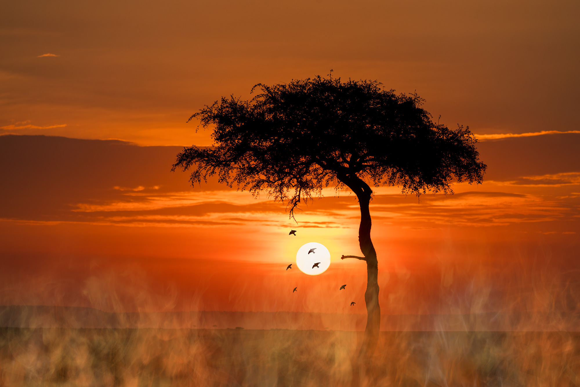 Landschaftsfotografie beim Sonnenuntergang auf einer Fotosafari