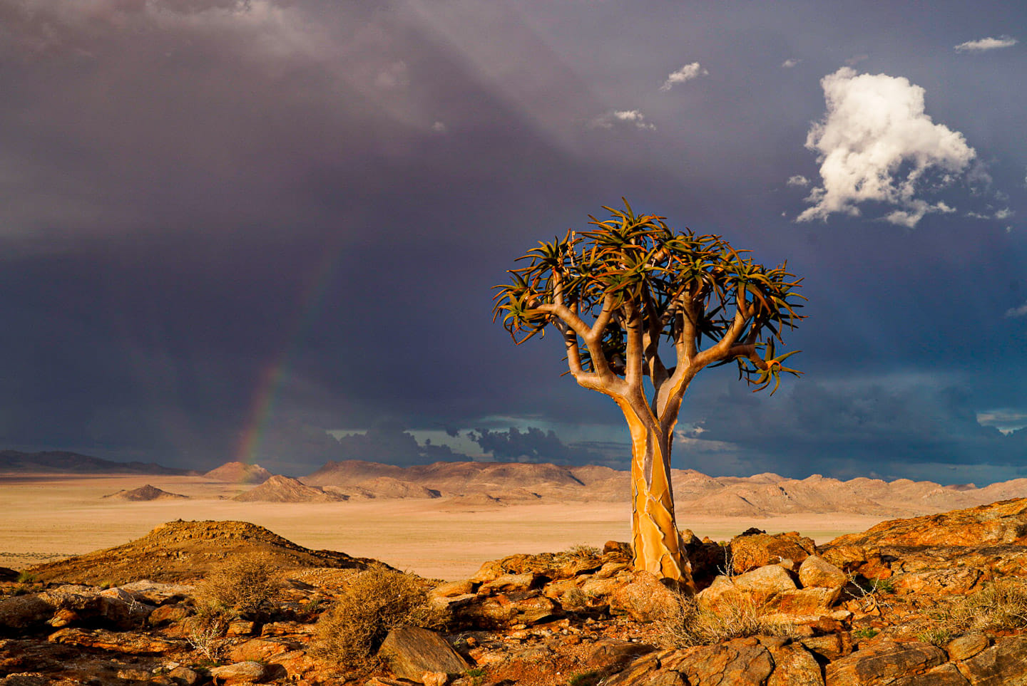 Gestern haben wir einen Ausflug in eine sehr abgelegene Stelle der Namib-Wüste gemacht und es war sensationell schön.