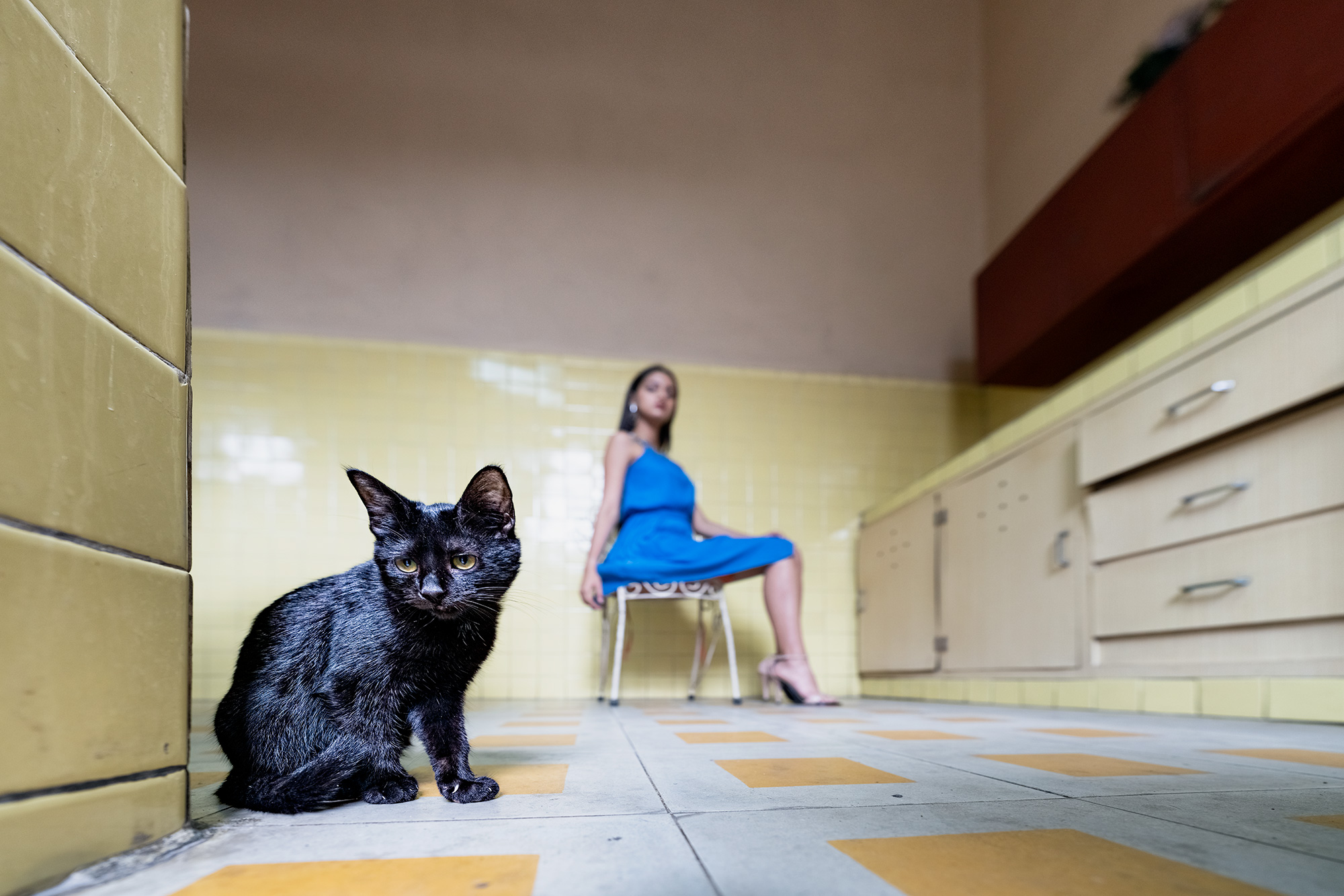 Katze und Fotomodell in der Küche einer alten Kolonialvilla in Kuba auf einer Fotoreise fotografiert.