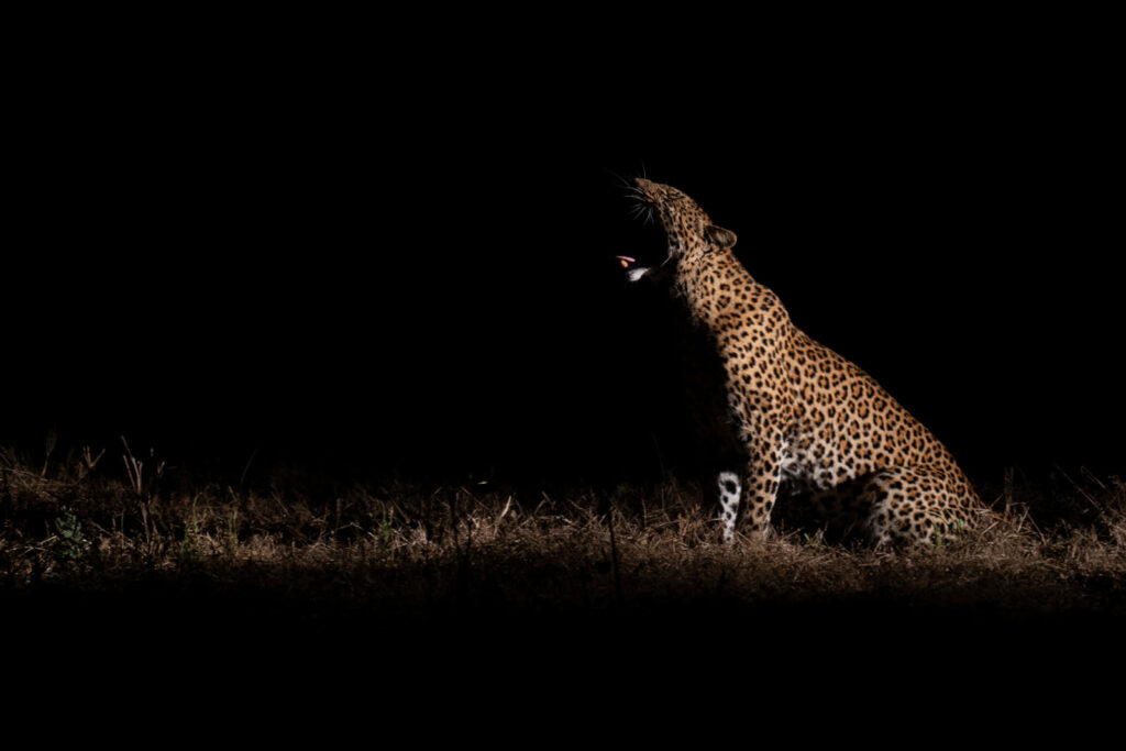 Wir fahren gleich wieder in die Wildnis und ich habe heute einen besonderen Fotoworkshop für unsere Fotografen organisiert.