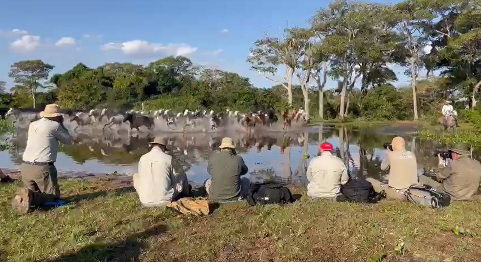 Fotosafari-Pantanal-Pferde Fotoreise mit Benny Rebel Fotosafaris GmbH aus Hannover. Ein Making-off Video von unserem Pferde-Fotoworkshop in Brasilien.