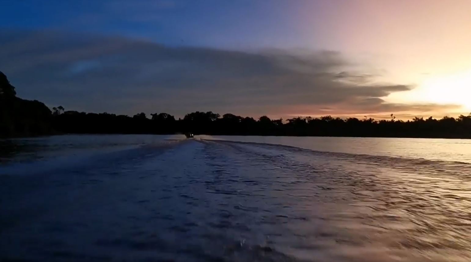 Fotoreise mit Benny Rebel Fotosafaris GmbH. Dies ist das letzte Video aus dem Bereich des Pantanals, wo wir Jaguare fotografieren.