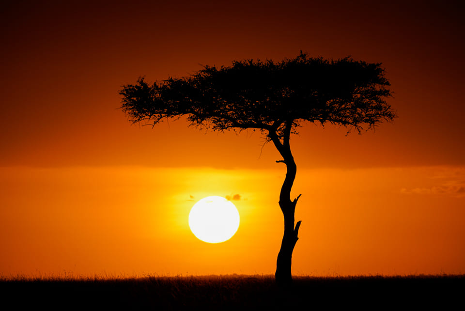 Benny Rebel Fotosafaris GmbH aus Hannover. Fotoreise durch die Wildnis Kenias. Sonnenuntergang und Naturfotografie.