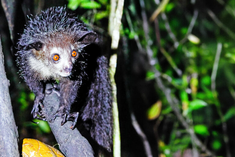 Madagaskar_Fotoreise_Fotosafari_214