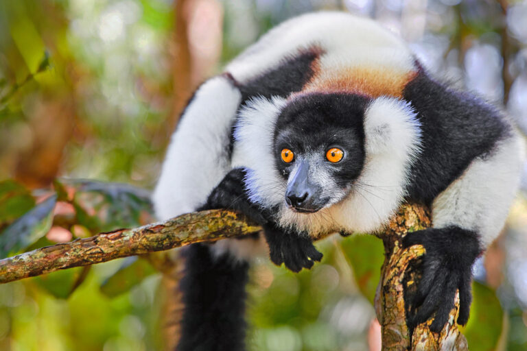 Madagaskar_Fotoreise_Fotosafari_245