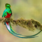 📸 Ein Platz frei geworden: Komm mit mir auf Fotosafari durch Costa Rica!