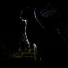 Im Rand des Lichts – Kunst in der Nacht der afrikanischen Wildnis