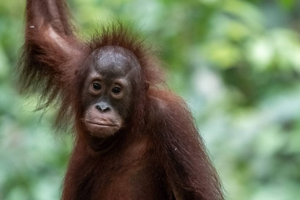 Borneo Fotoreise Fotoworkshop 4