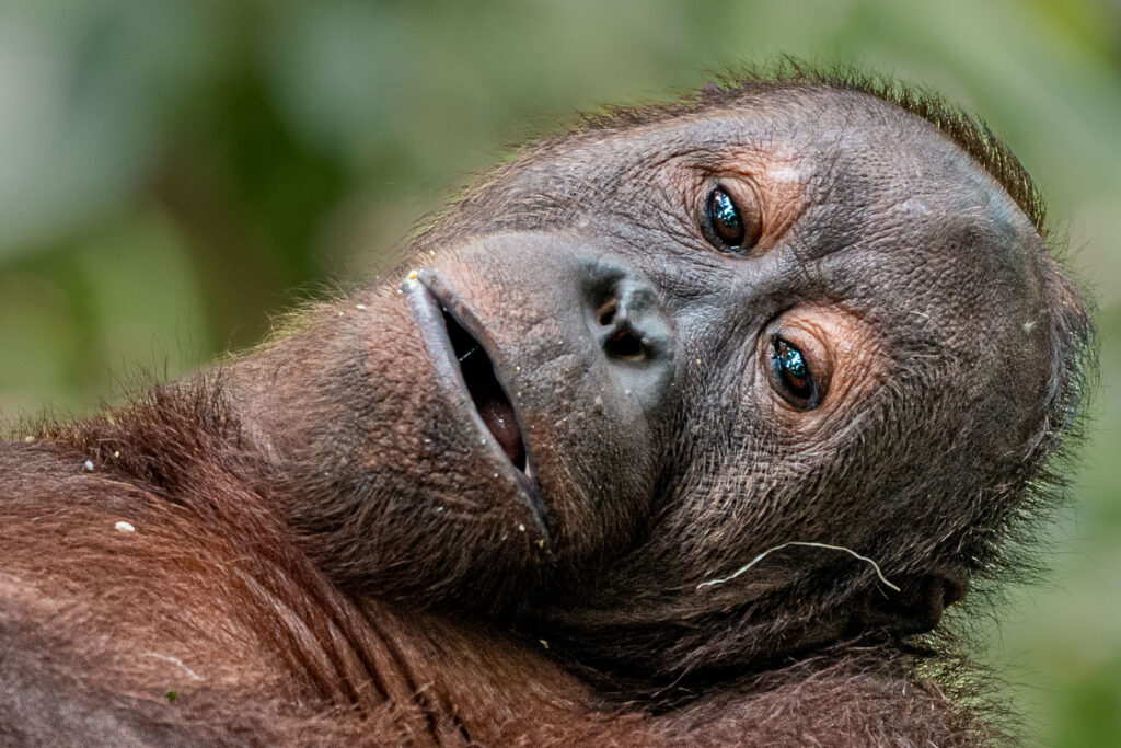 Fotosafari-Borneo-Fotoreis1_