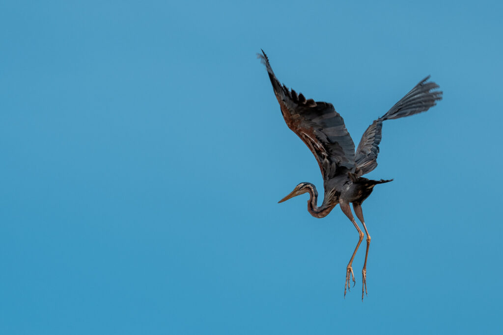 Fotosafari-Borneo-Fotoreise-393_