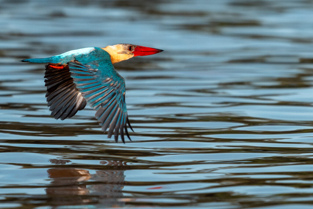 Fotosafari-Borneo-Fotoreise-402_