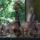 Impressionen aus Borneo