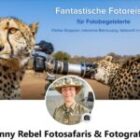 Neustart auf Facebook – meine neue Künstlerseite ist online