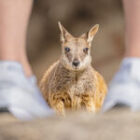 Letzte Chance: 3 freie Plätze auf meiner unvergesslichen Fotoreise nach Australien & Tasmanien!