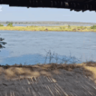 Ein Bericht aus dem Lower Zambezi Nationalpark