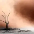 Im Angesicht des Sturms: Warum wahre Fotografie mehr Mut als Schönwetter braucht