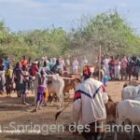 Bullen-Springen des Hammervolks