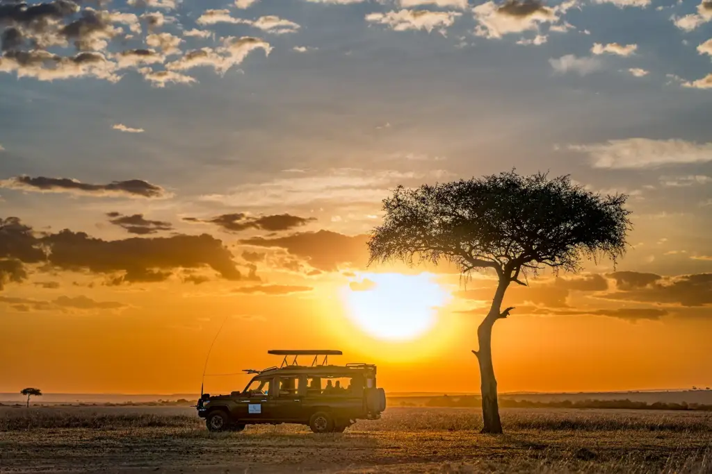 ein baum und ein safariauto fotografiert auf einer fotoreise  von benny rebel in afrika.