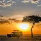  Ein Hauch von Afrika im goldenen Herbst  