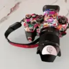 Back to the Roots – Zurück zu meinen Wurzeln