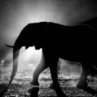 Wenn die Nacht zum Atelier wird