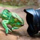 Abschied von Madagaskar – mit vollen Speicherkarten und offenem Herzen