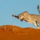 Mit voller Kraft ins neue Jahr