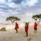 Der rote Widerstand: Farbe bekennen im Staub der Zeit