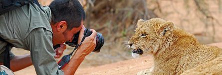 Benny rebel auf Fotoreise mit Löwen